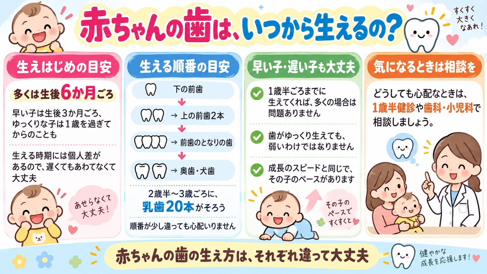 赤ちゃんの歯は、いつから生えるの?の図解