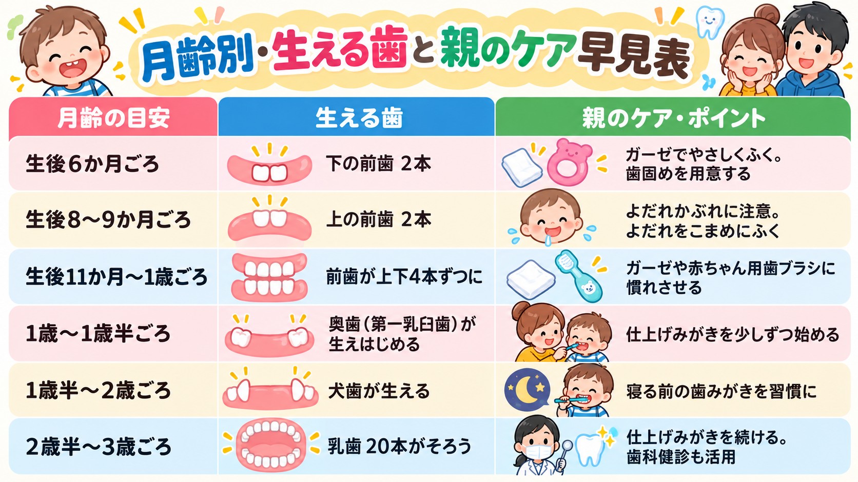月齢別・生える歯と親のケア早見表の早見表イラスト